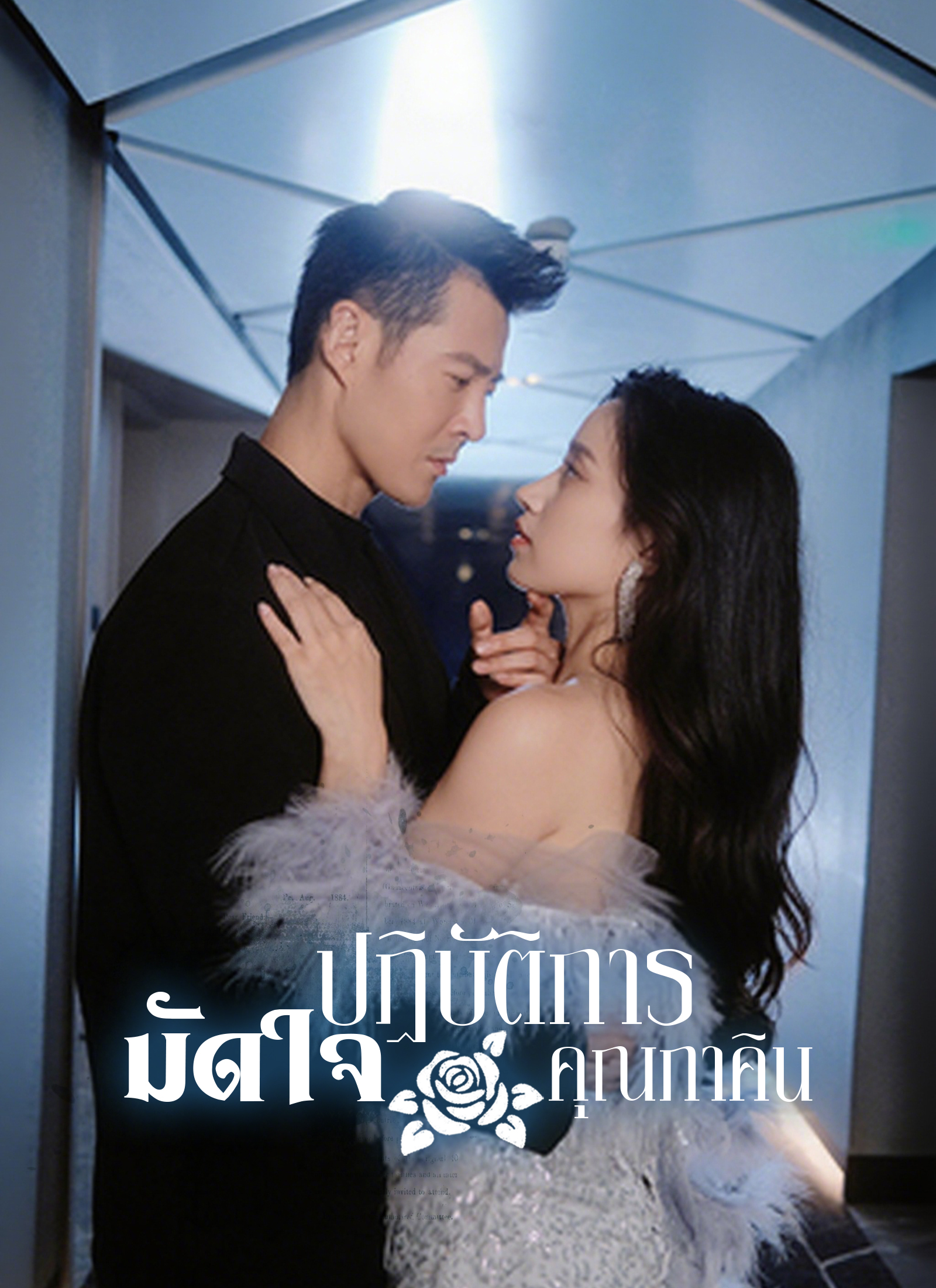 โปสเตอร์ ปฏิบัติการมัดใจคุณภาคิน